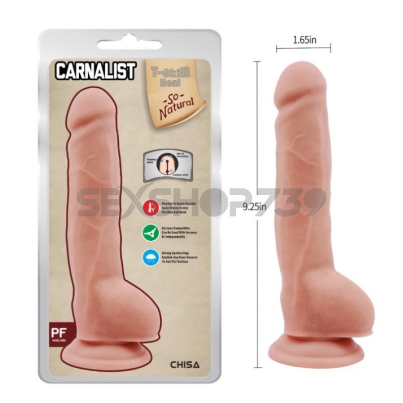 REALISTICO - VERTEBRA INTERNA - CARNALIST